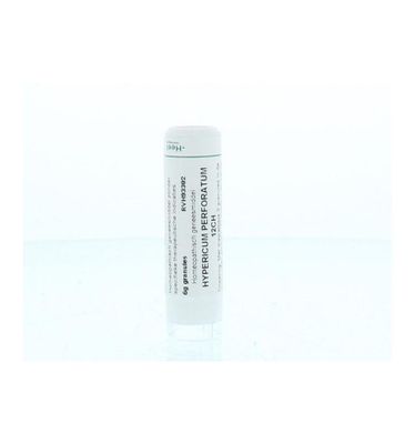 Hypericum perforatum 12CH