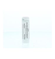 Hypericum perforatum 12CH