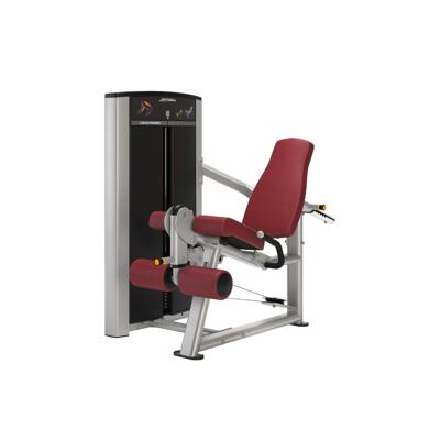 Life Fitness Axiom series leg extension