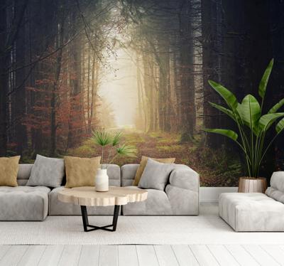 Herfst weg Fotobehang bos