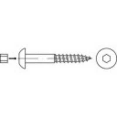 TOOLCRAFT 159340 Bolkop houtschroeven 8 mm 70 mm Binnenzeskant (inbus) Staal Galvanisch verzinkt 50 stuk(s)