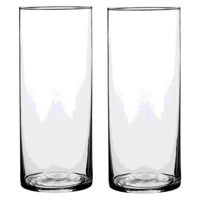 Mica Decorations Vaas - 2x - cilinder - helder glas - D12 x H25 cm - Bloemenvaas