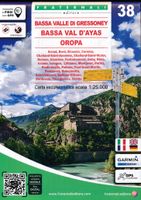 Wandelkaart 38 Bassa Valle di Gressoney | Fraternali Editore