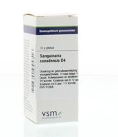 VSM Sanguinaria canadensis D4 (10 gr)