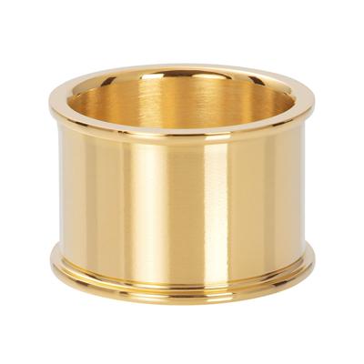 iXXXi Basisring 14 mm Goud