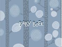 Babyboek (Hardback)