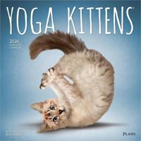 Yoga Kittens Kalender 2026