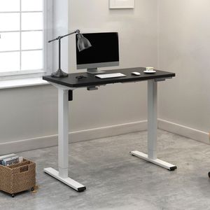 Flexispot EF1 zit sta bureau,tafelonderstel in de hoogte verstelbaar met zit-/sta-/tijdherinneringssysteem, grijs EF1S