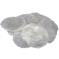 Decoratie/hobby oester schelpen - 1 kg - naturel