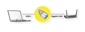 ROLINE 12.02.1111 tussenstuk voor kabels USB Type C RJ-45 Zwart, Goud