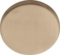 Formani Basics LBB50 blind afdekplaatje - PVD licht brons