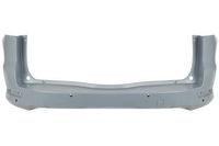 Bumper 5506002556953P