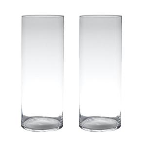 Hakbijl Glass Vaas - Set van 2x stuks - cilinder - glas - helder - 60 x 19 cm - bloemenvaas