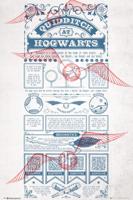 Poster Harry Potter Quidditch at Hogwarts 61x91,5cm