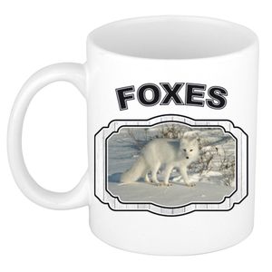 Dieren poolvos beker - foxes/ vossen mok wit 300 ml