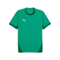 PUMA teamFINAL Voetbalshirt Groen Wit