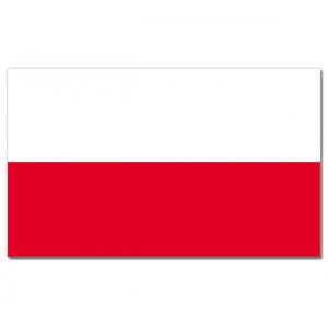 Vlag Polen - 90 x 150 cm - Poolse Vlaggen - Polska / Polski