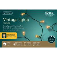 Lumineo Vintage kerstverlichting - 50 led lampjes - klassiek warm wit - 490 cm - batterij