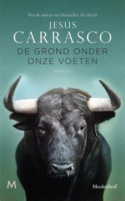 De grond onder onze voeten (Hardback)