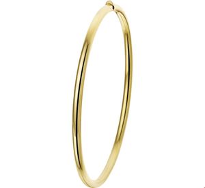 TFT Slavenband Goud Scharnier Ovale Buis 3 X 60 mm