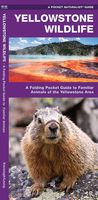 Natuurgids - Vogelgids Yellowstone Wildlife | Waterford Press - thumbnail