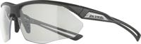 Alpina nylos hr - sports glasses