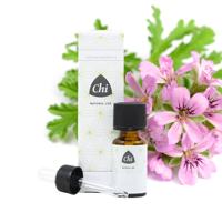 CHI Geranium cultivar Egypte CHI Geranium cultivar Egypte