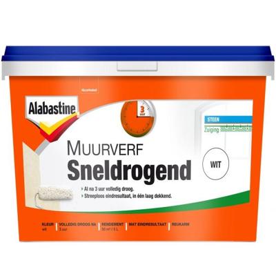Alabastine Sneldrogende Muurverf Wit 5L - 5256773 Alabastine Sneldrogende Muurverf Wit 5L - 5256773