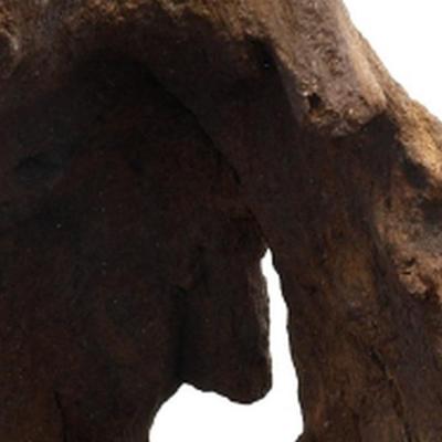 Mopani wood 20kg x-small aquadistri - Aquadistri