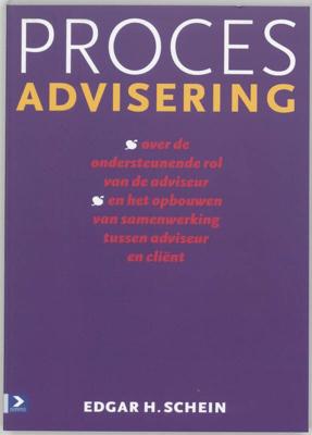 Procesadvisering (Paperback)
