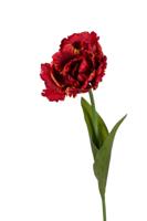 Papegaaitulp l66cm rood/oranje kunstbloem Louis Maes - Louis maes