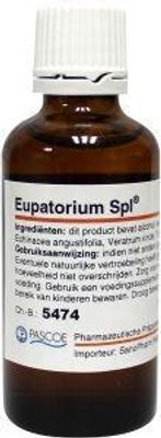 Pascoe Eupatorium similiaplex (50 ml)