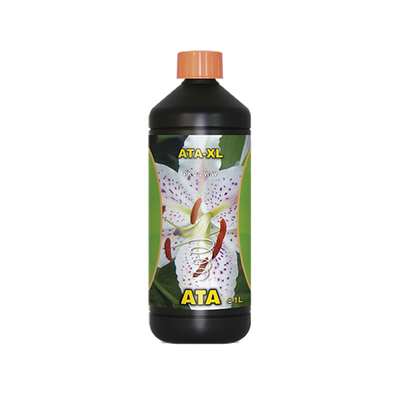 Atami Atami Ata XL