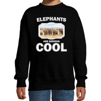 Sweater elephants are serious cool zwart kinderen - kudde olifanten/ olifant trui - thumbnail