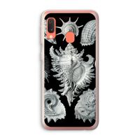 Haeckel Prosobranchia: Samsung Galaxy A20e Transparant Hoesje