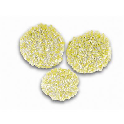 Karcher Polijstpads FP 303 Steen?Linoleum/PVC (3 stuks) - 2.863-198.0