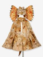 Cape dilophosaurus SOUZA bruin