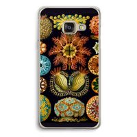Haeckel Ascidiae: Samsung A3 (2017) Transparant Hoesje