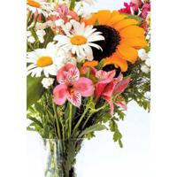 Wenskaarten blanco bloem pak a 10 stuks Wenskaarten blanco bloem pak a 10 stuks