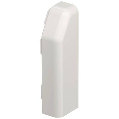 OBO Bettermann SL ESre2070 cw voor Eindstuk Wit 1 stuk(s)