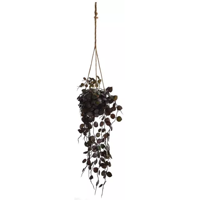 Small Leaves In Hanging Pot Lavender Jasaco - Jasaco