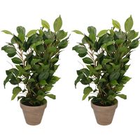 2x Groene ficus kunstplanten 40 cm voor binnen - thumbnail