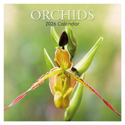 Orchidee Kalender 2026