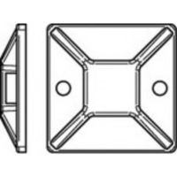TOOLCRAFT Bevestigingssokkel TO-5454882 100 stuk(s) - thumbnail