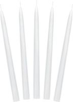 Dinerkaarsen Parelmoer Metallic 24cm (10st) Dinerkaarsen Parelmoer Metallic 24cm (10st)
