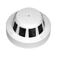 Verborgen Camera Rookmelder met PIR Bewegingsdetectie en 365 Dagen Stand-by