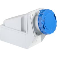 Schneider Electric 81179 81179 CEE-wandcontactdoos 63 A 250 V 1 stuk(s)