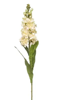 Emerald kunsttak matthiola 80cm creme