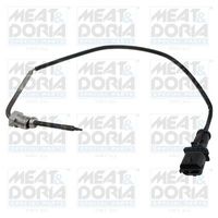 Sensor, uitlaatgastemperatuur 12147E