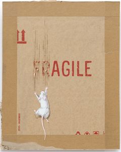 Fragile Rat Banksy Art Print 30x40cm